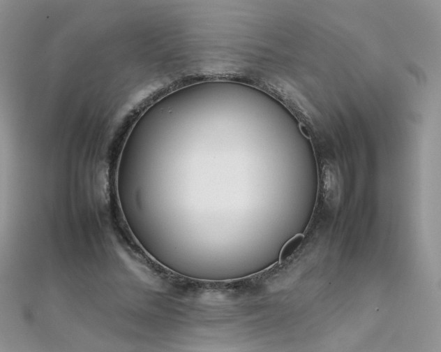 X0000112040684200908101402