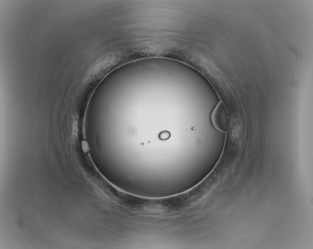 X0000112040685200908101402