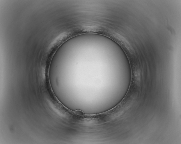 X0000112040686200908101402