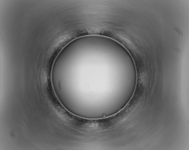 X0000112040687200908101402
