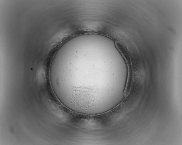 X0000112040688200908101402