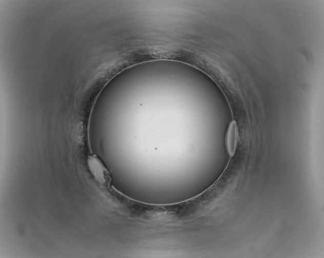 X0000112040689200908101402