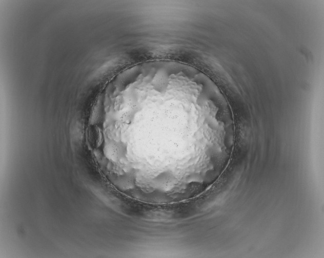 X0000112040691200908101401