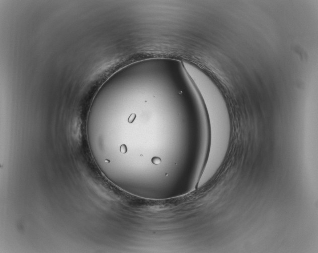 X0000112040692200908101401