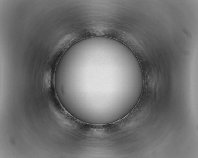 X0000112040694200908101401