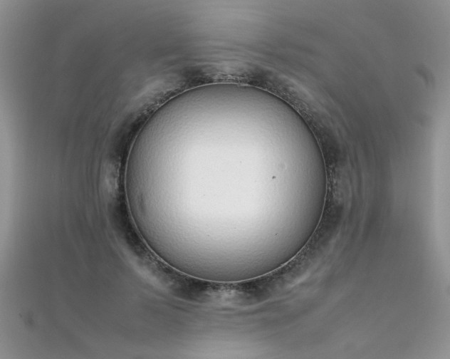 X0000112040695200908101401