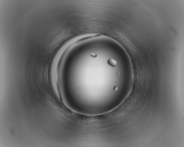 X0000112040696200908101401