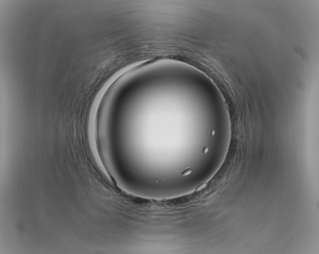 X0000112040697200908101401