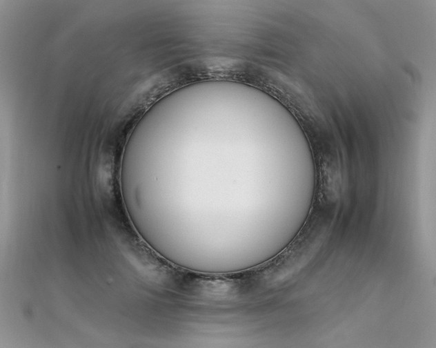 X0000112040698200908101401