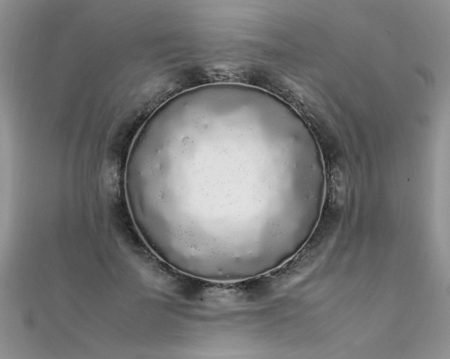 X0000112040699200908101401