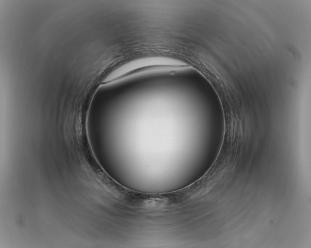 X0000112040700200908101401