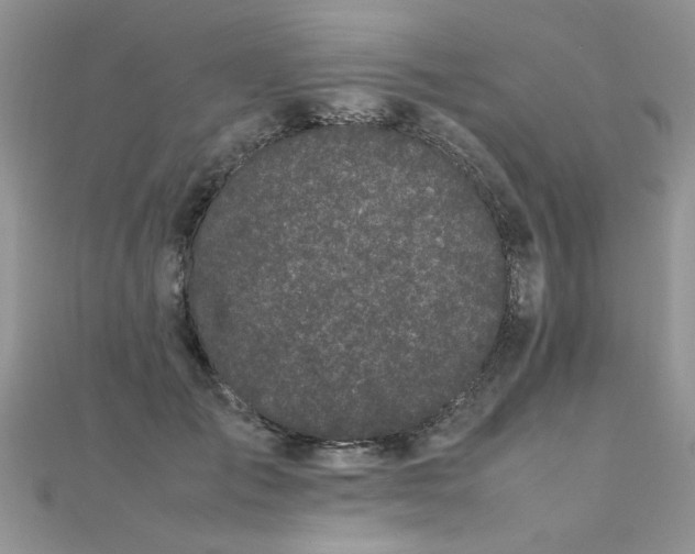 X0000112040701200908101401