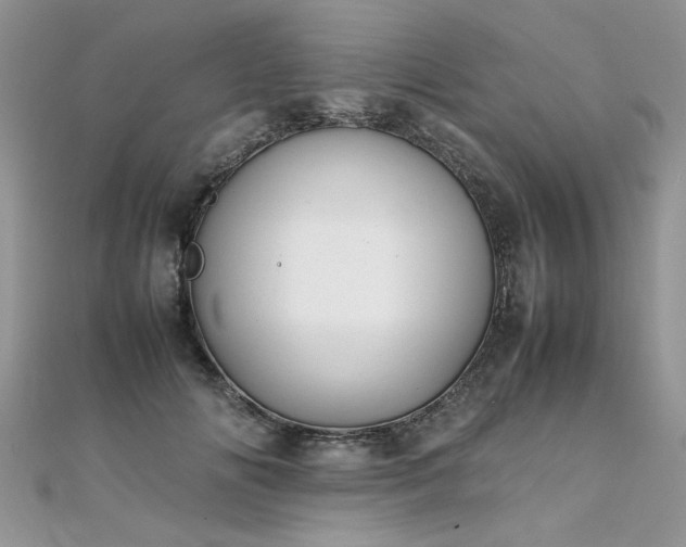 X0000112040702200908101401