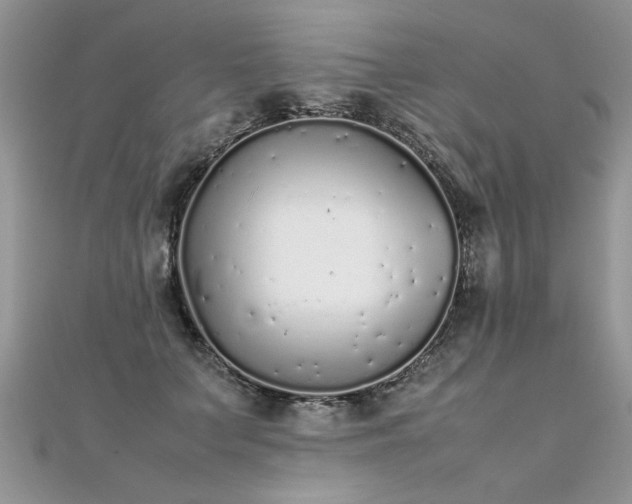 X0000112040703200908101401