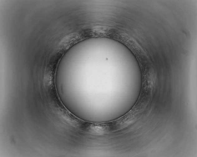 X0000112040706200908101401