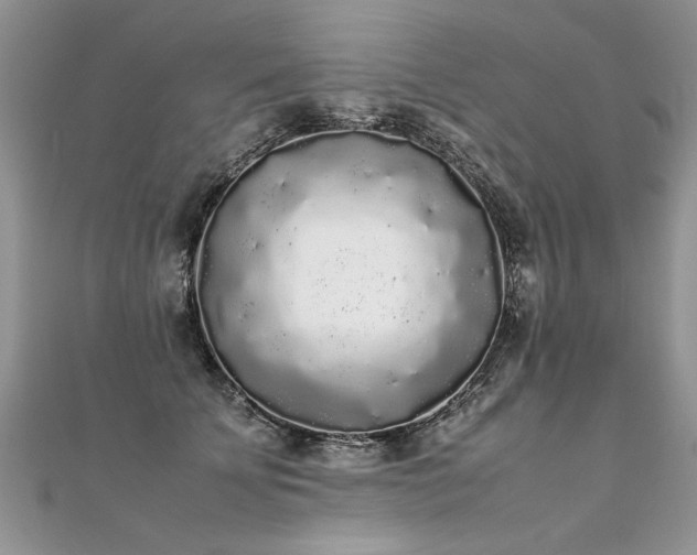 X0000112040707200908101401