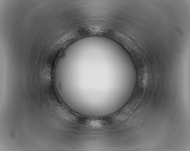 X0000112040710200908101401