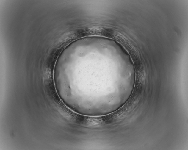 X0000112040711200908101401