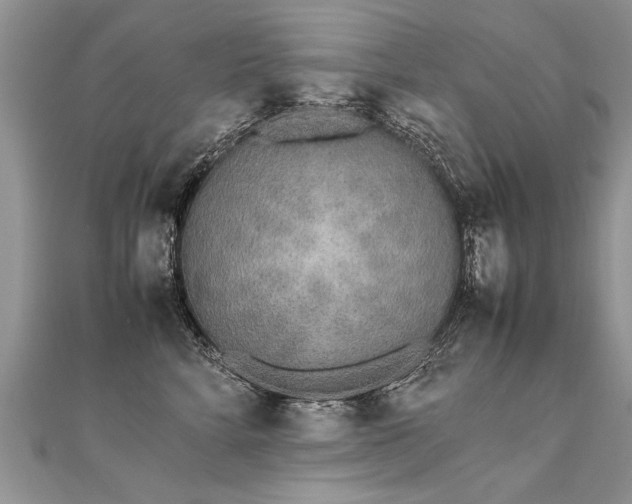 X0000112040712200908101401