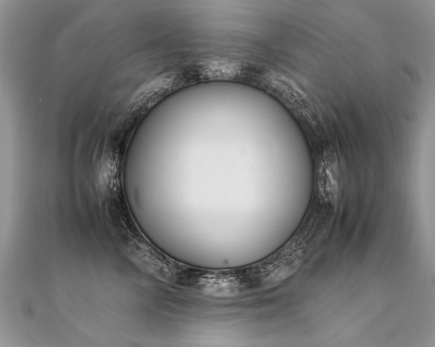X0000112040714200908101401