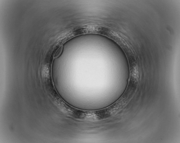 X0000112040715200908101401