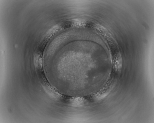 X0000112040716200908101401