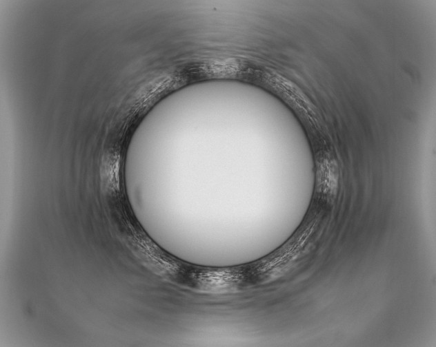 X0000112040717200908101401