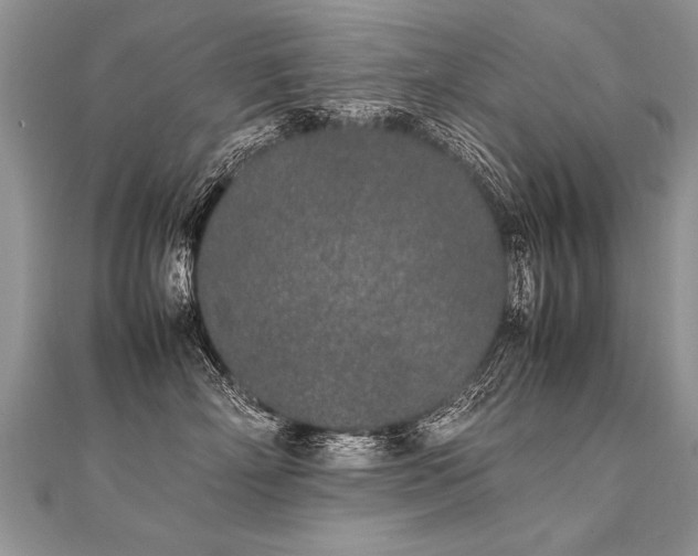 X0000112040718200908101401