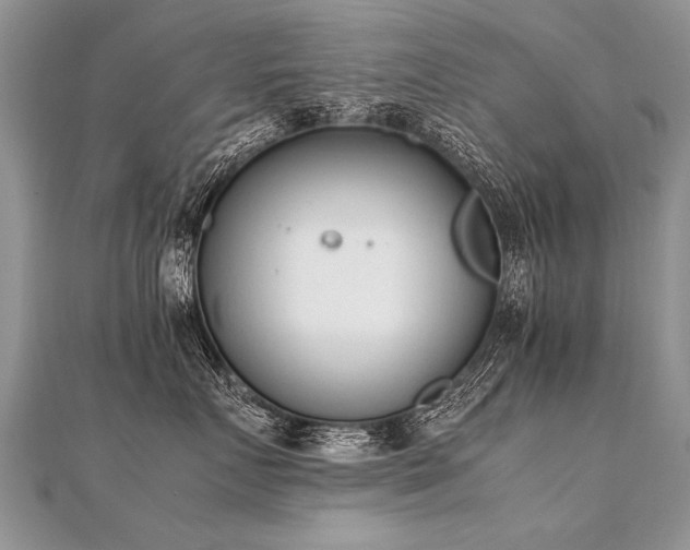 X0000112040719200908101401
