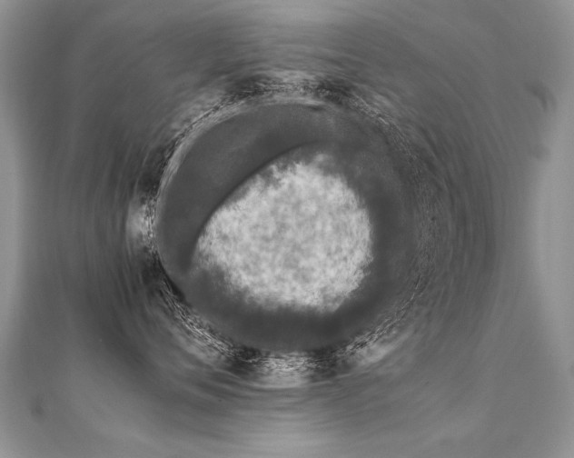 X0000112040720200908101401