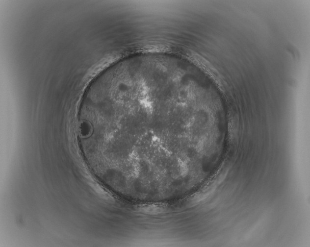 X0000112040721200908101400