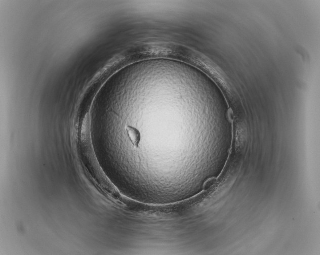 X0000112040722200908101400
