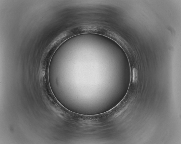 X0000112040723200908101400
