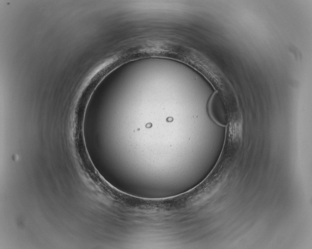 X0000112040724200908101400