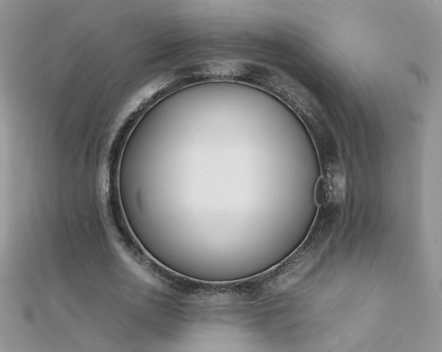 X0000112040726200908101400