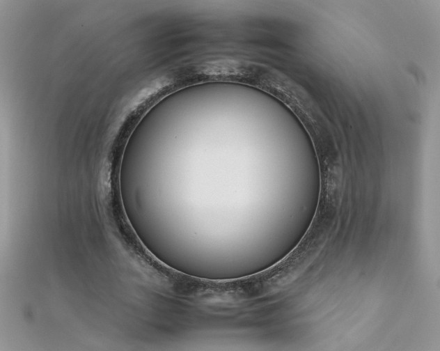 X0000112040727200908101400