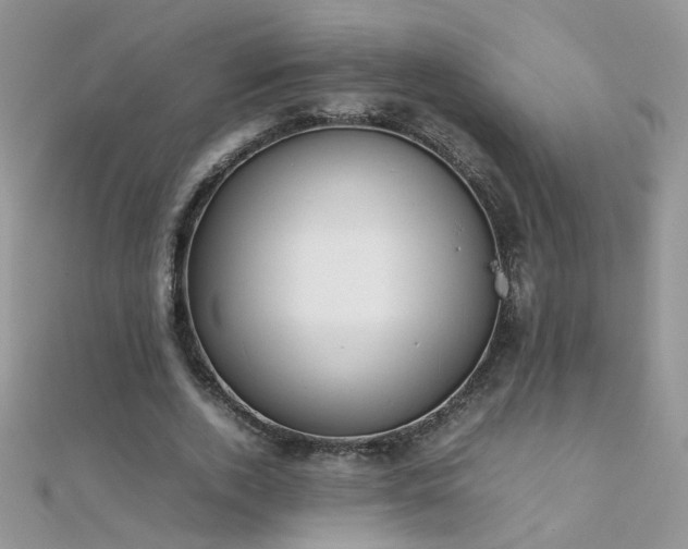 X0000112040728200908101400