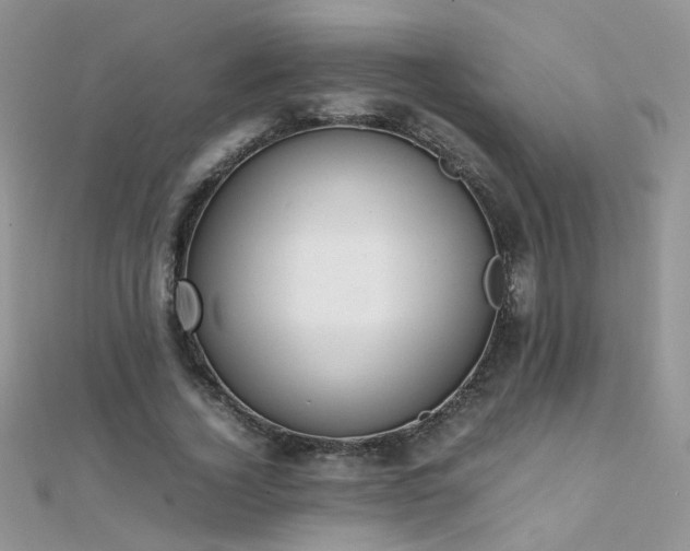 X0000112040732200908101400