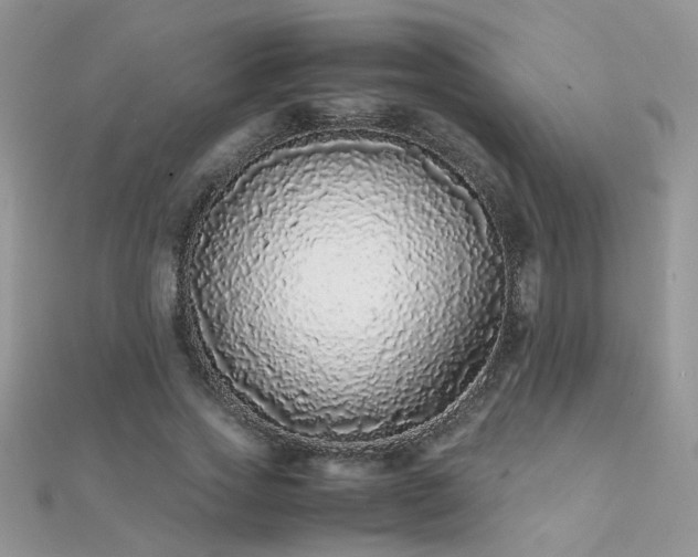 X0000112040733200908101400