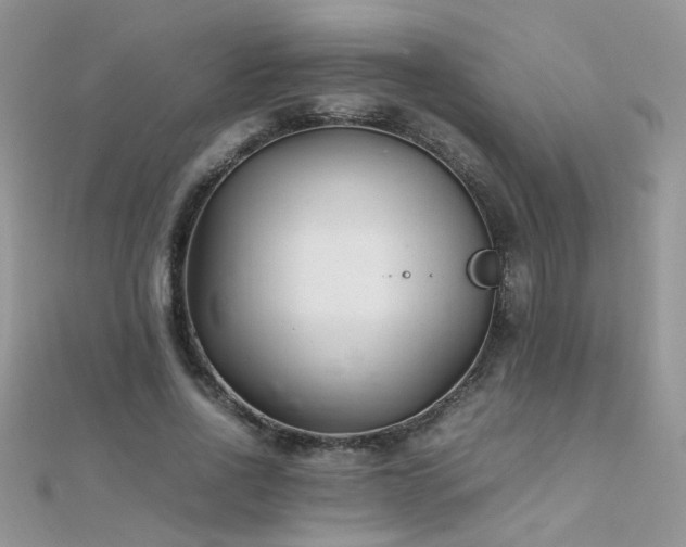 X0000112040734200908101400