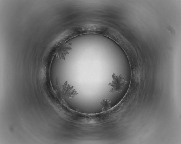 X0000112040735200908101400
