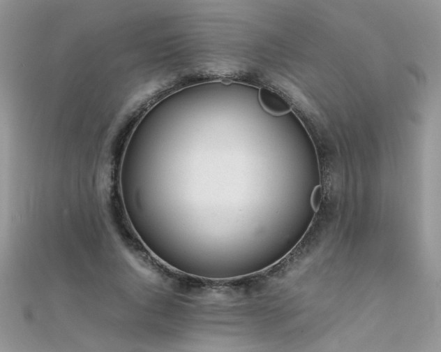 X0000112040736200908101400