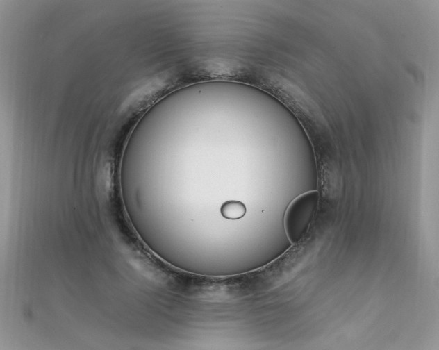 X0000112040740200908101400