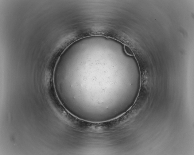 X0000112040742200908101401