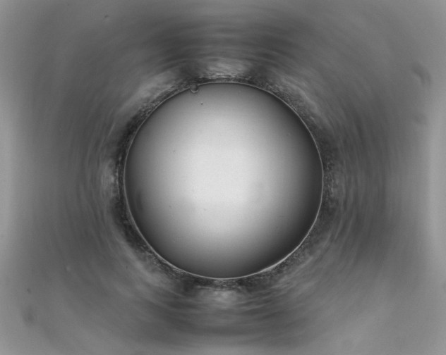 X0000112040743200908101401