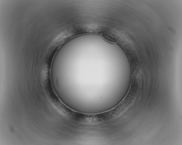 X0000112040744200908101401
