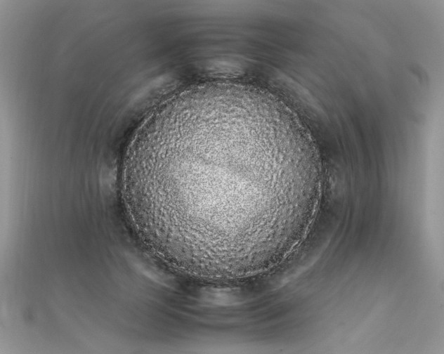 X0000112040745200908101401