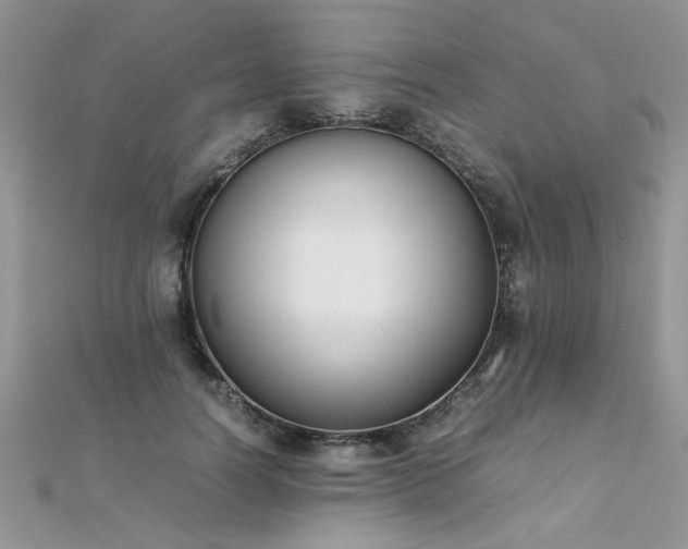 X0000112040746200908101401