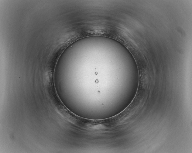 X0000112040747200908101401