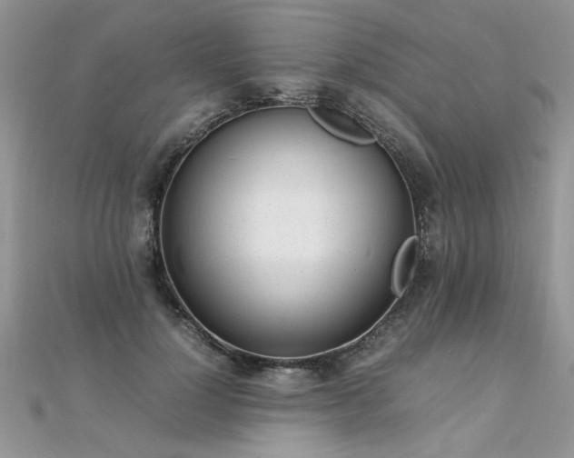 X0000112040748200908101401